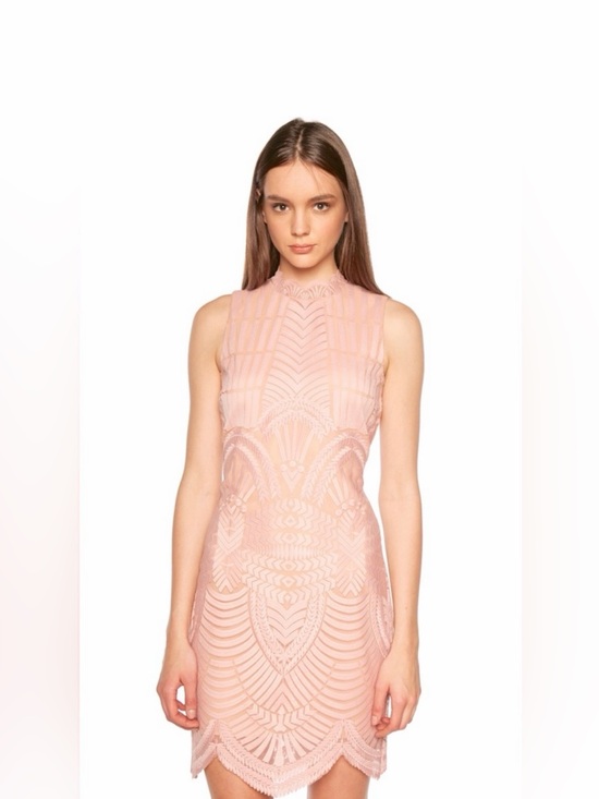 Dresses & Skirts - Bardot Alice Lace Dress in Latte Pink